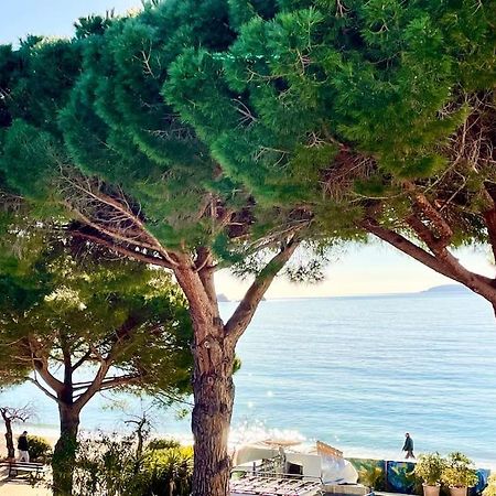 Appartement Les Pieds Dans L'Eau A Cavaliere Le Lavandou Exteriér fotografie