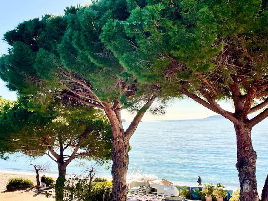 Appartement Les Pieds Dans L'Eau A Cavaliere Le Lavandou Exteriér fotografie