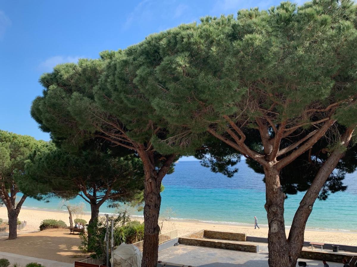 Appartement Les Pieds Dans L'Eau A Cavaliere Le Lavandou Exteriér fotografie